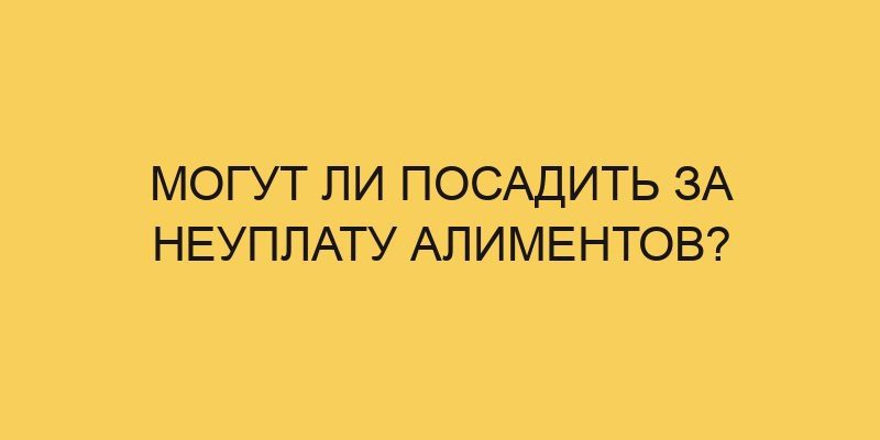 Могут ли посадить за неуплату алиментов? 24 mogut li posadit za neuplatu alimentov 2385