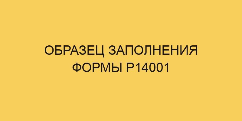 obrazec zapolneniya formy r14001 968