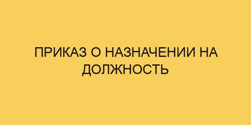 prikaz o naznachenii na dolzhnost 958