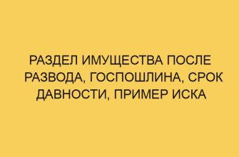 Раздел имущества после развода, госпошлина, срок давности, пример иска 8 razdel imushhestva posle razvoda gosposhlina srok davnosti primer iska 2866