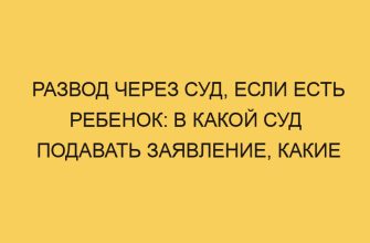 razvod cherez sud esli est rebenok v kakoj sud podavat zayavlenie kakie dokumenty nuzhny kak bystree 2647